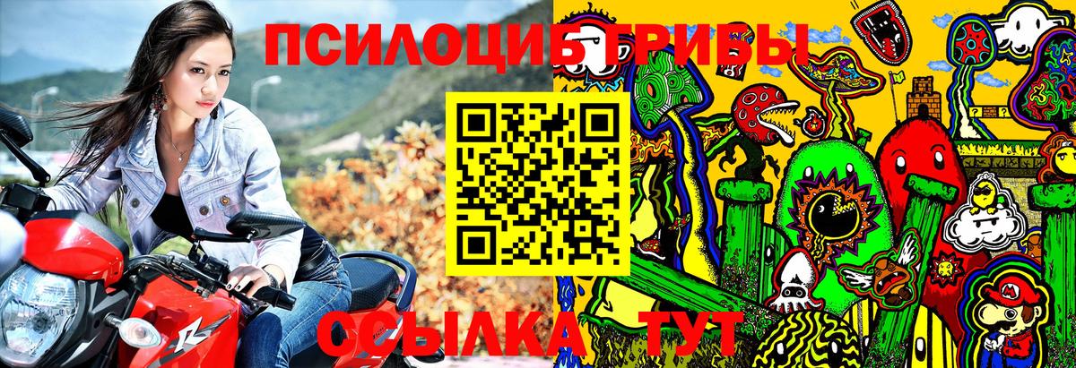 Псилоцибиновые грибы Psilocybe Баксан