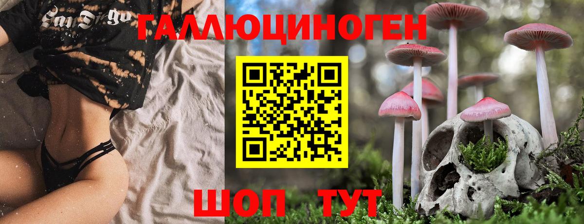 Баксан  Галлюциногенные грибы Cubensis  Вход с VPN  Псилоцибиновые грибы Cubensis 